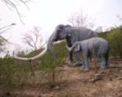 The park is said to be one of Asia's largest Fossil structures to exist for the exhibits The park is said to be one of Asia's largest Fossil structures to exist for the exhibits.